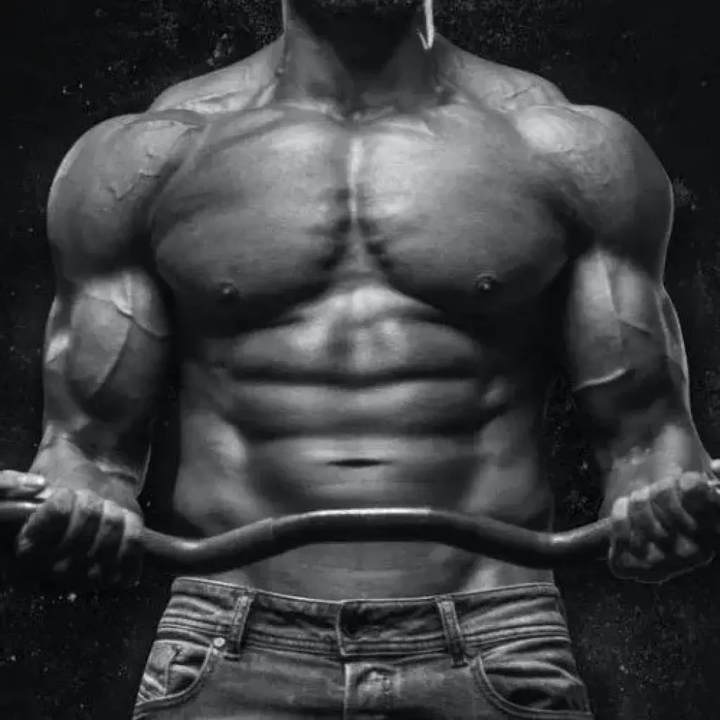 Sustanon Cycle Sustanon Cycle