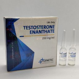 Testosterone Enanthate (Genetic)